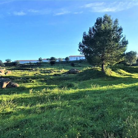 Apartamento En Roses Parking Y Piscina Comunitaria Av-54 Exteriér fotografie